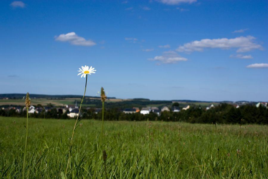 Studiohaus Haus Roswitha Geisfeld  Dış mekan fotoğraf